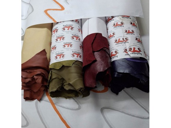 CORDERO VARIOS COLORES